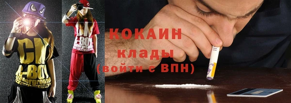 дмт Арсеньев