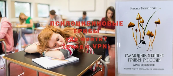 бошки Аркадак