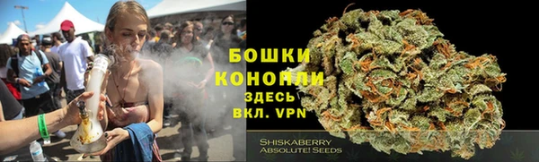 дмт Арсеньев
