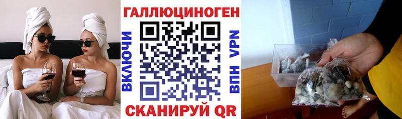 где купить наркоту  Жуков  Псилоцибиновые грибы мицелий 